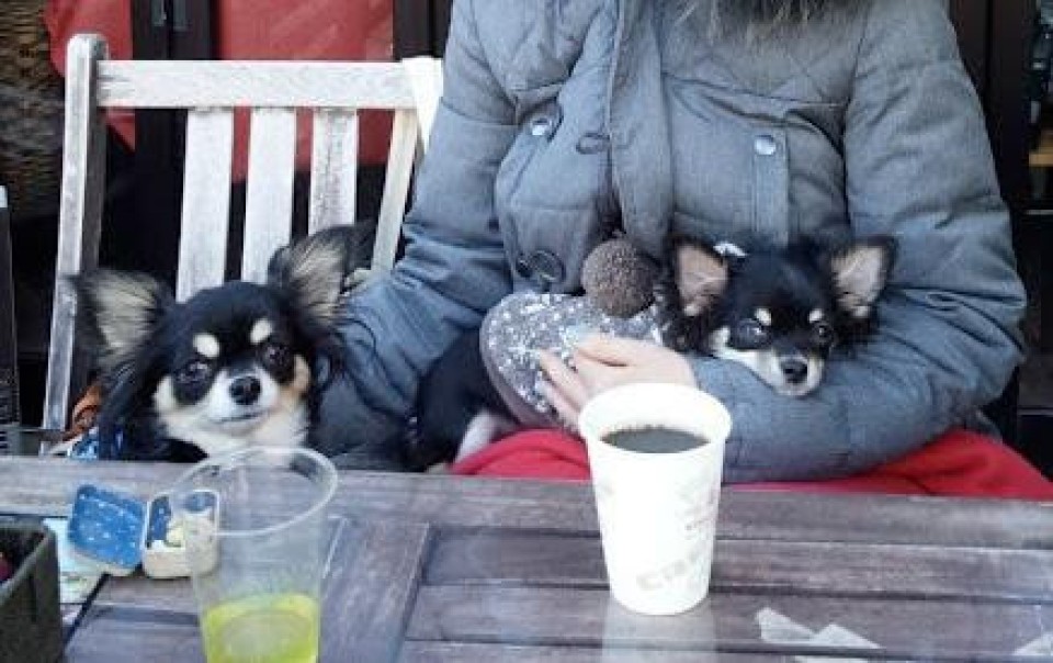 BAGUS BAR 芝浦アイランド店