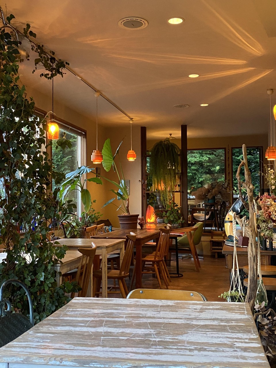 ナチュラルカフェイーナ