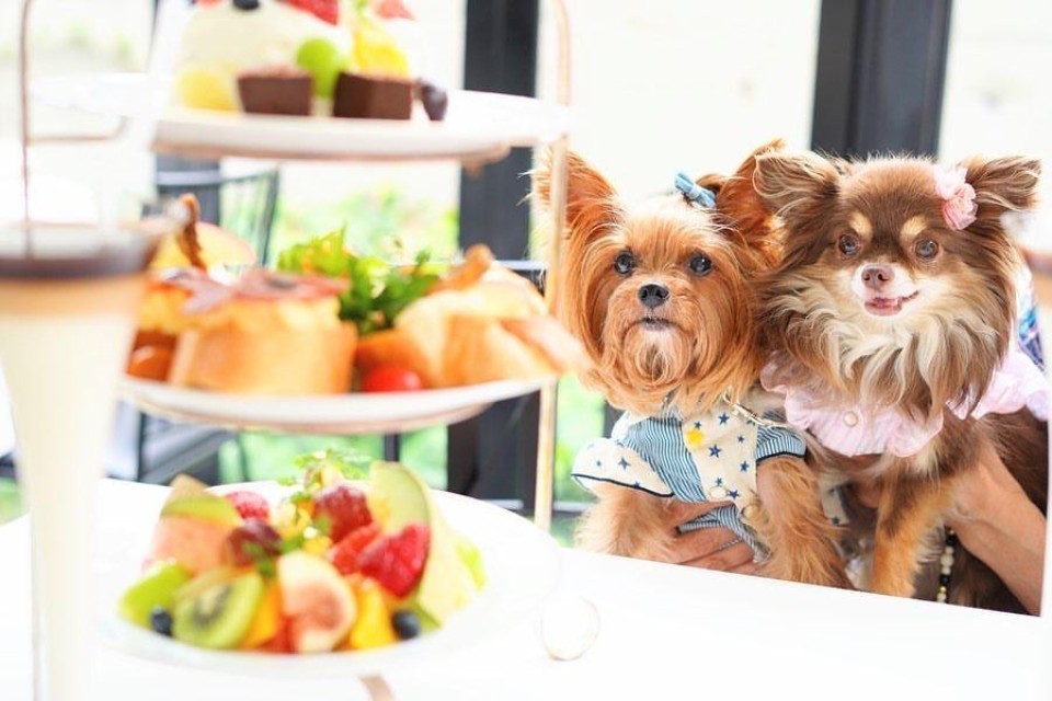 Massimo mariani （マッシモマリアーニ）