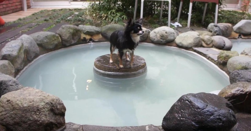 【閉館】ＨＯＴＥＬ凛香 ＨＡＫＯＮＥ ＧＯＲＡ ＲＥＳＯＲＴ