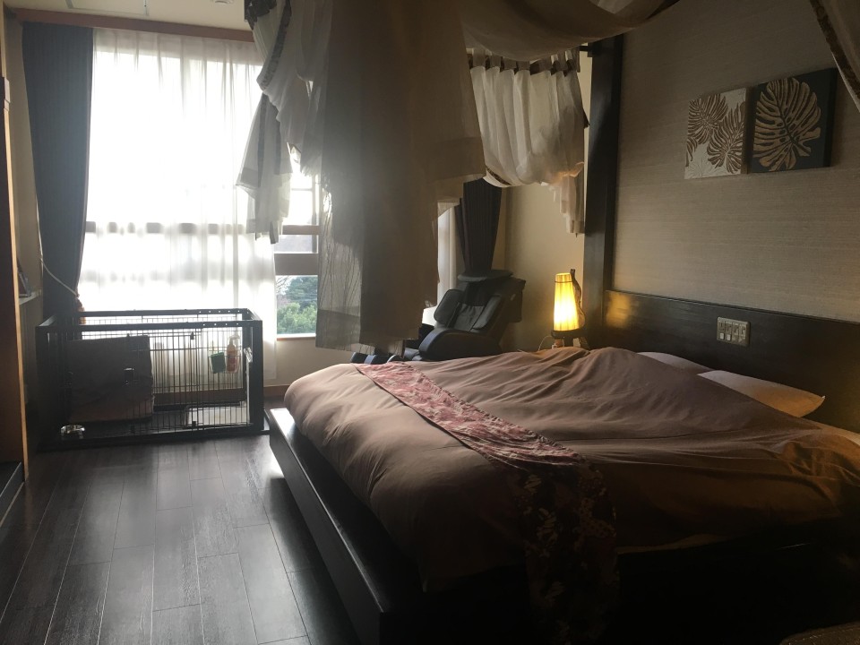 愛犬お宿 伊豆高原